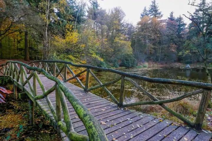 Chalet Buitengewoon Rijs Dış mekan fotoğraf